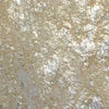 Silver Gold Quartzite