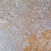 Silver Gold Quartzite